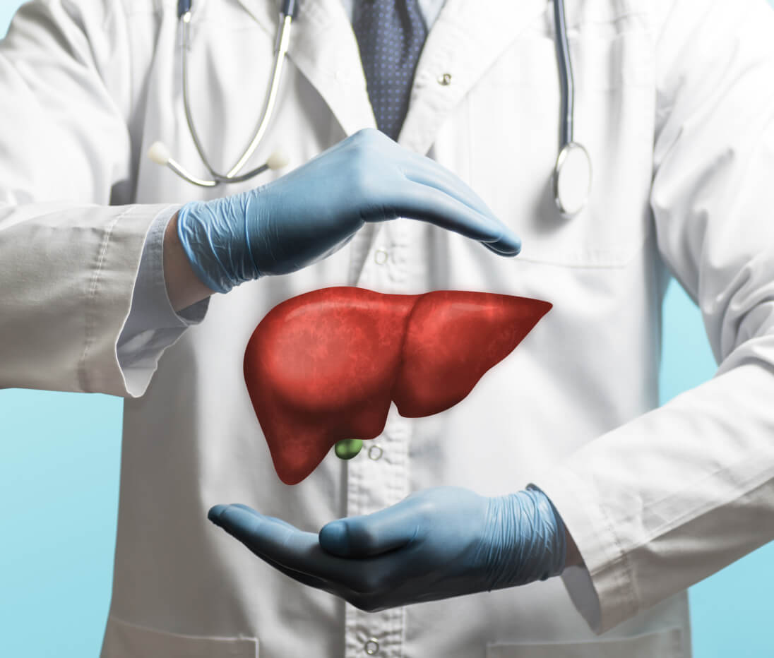 Liver