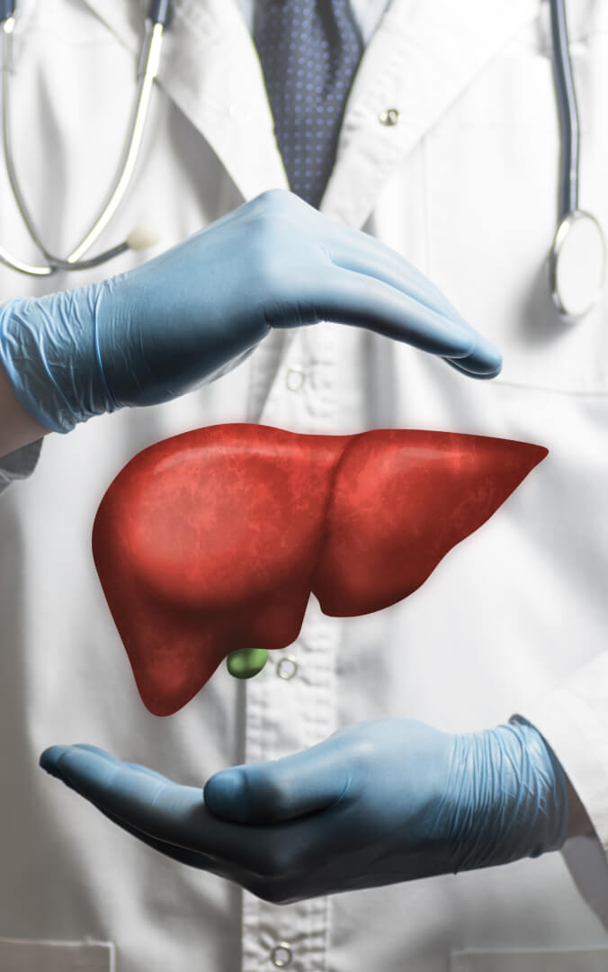 Liver