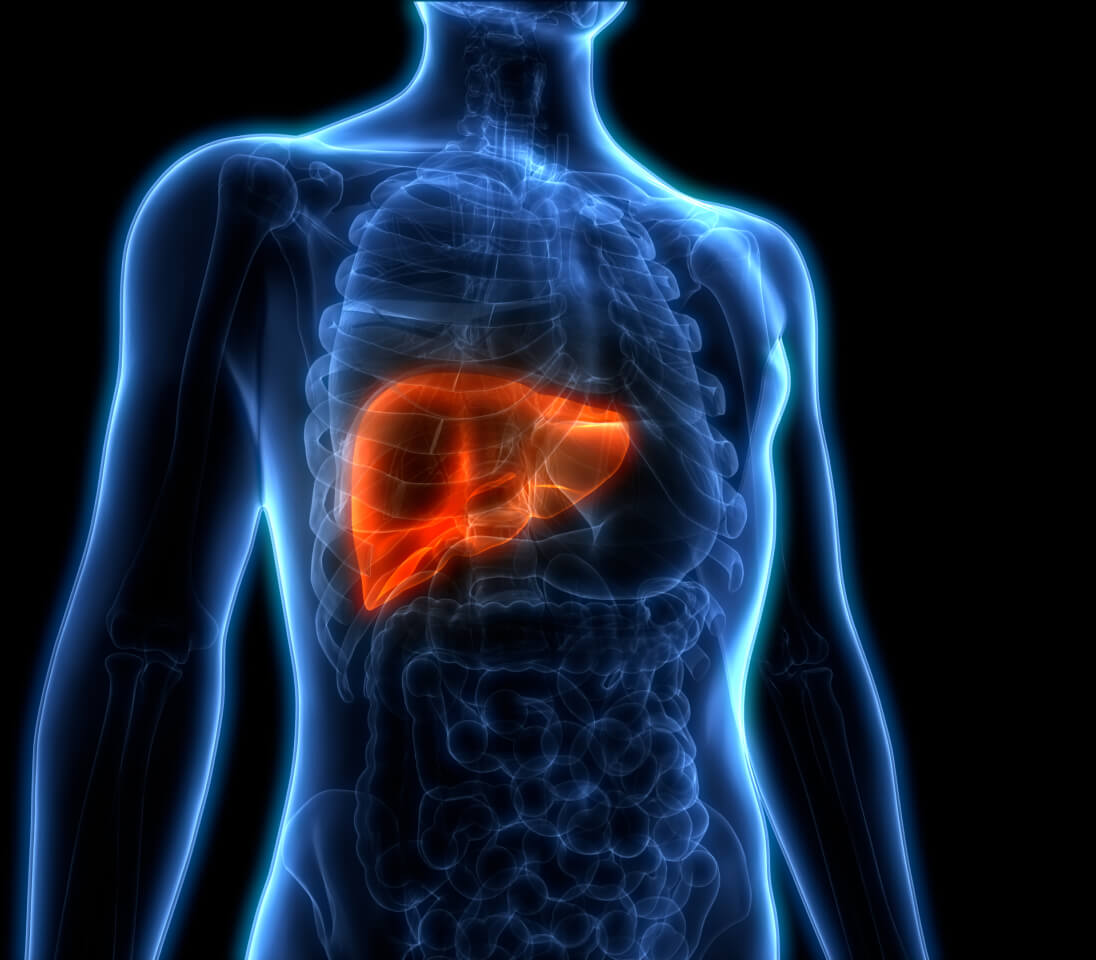 liver