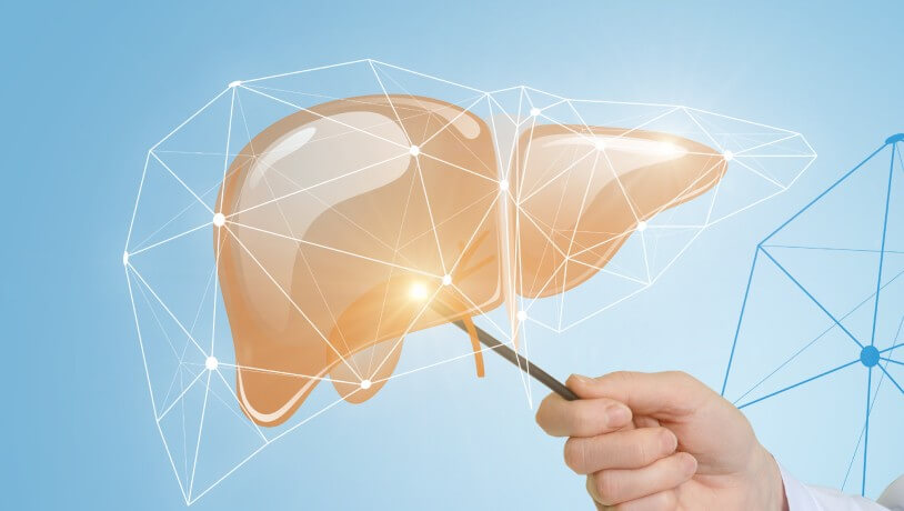 liver